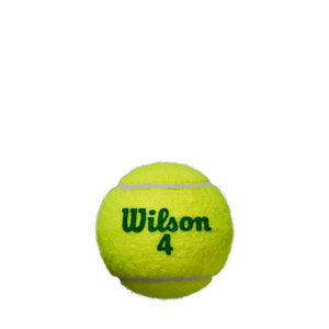 Wilson Starter Green Tennis Balls - 1 Tube (4 Balls)