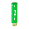 Wilson Starter Green Tennis Balls - 1 Tube (4 Balls)